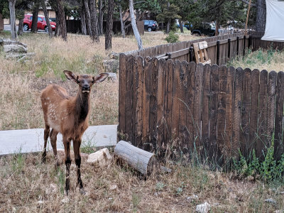 Colorado: Boulder, Black Canyon, and Ouray