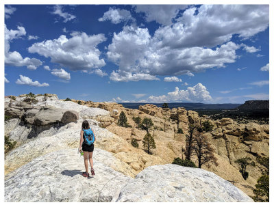 New Mexico September 2019: Petrified Forest NP, Tent Rocks NM, Bandelier NM, Meow Wolf, El Morro NM