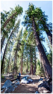 Roaring River campsite