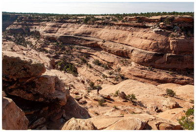 Descending into the canyon