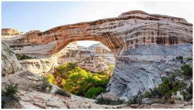 Cedar Mesa October 2020: The Citadel, Moon House, and Natural Bridges National Monument