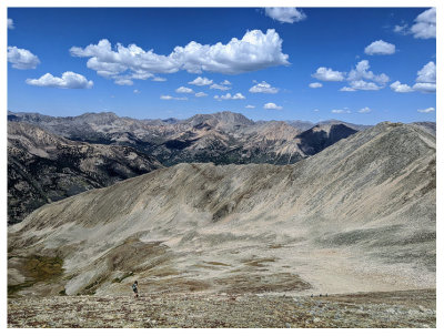 Huron Peak trail