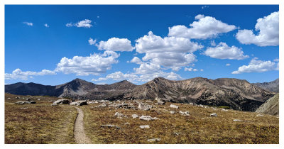 Huron Peak trail