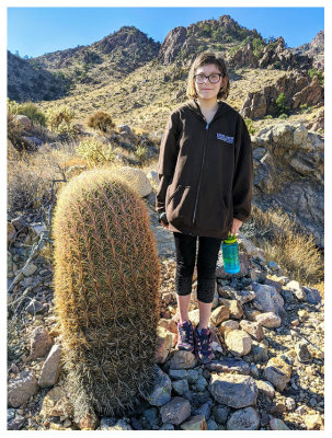 Cool barrel cactus