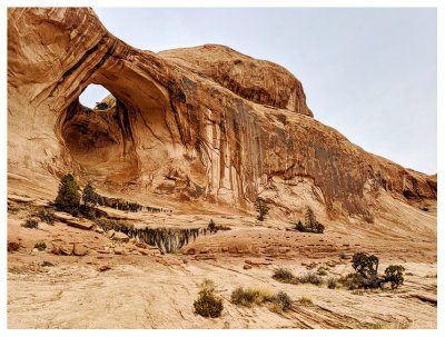 Bowtie Arch