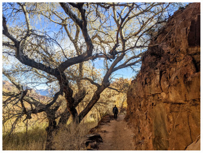 Bright Angel to South Kaibab January 2021