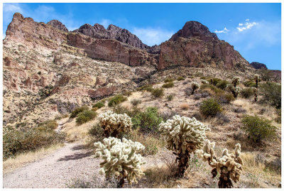 Tucson Hiking  and Tacos Weekend: February 2021