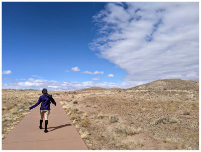 Homolovi State Park