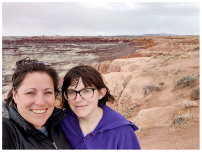 Littled Painted Desert overlook
