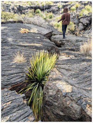 Valley of Fires