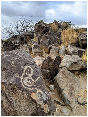 Three Rivers Petroglyph Site