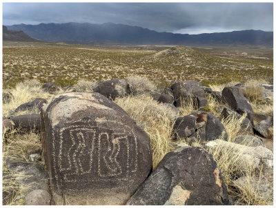 Three Rivers Petroglyph Site