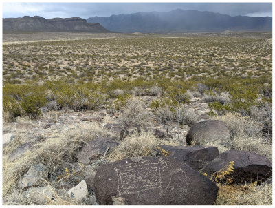 Three Rivers Petroglyph Site