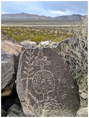Three Rivers Petroglyph Site