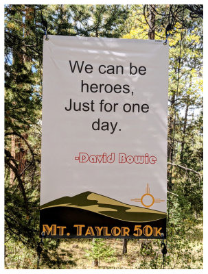 Mt. Taylor 50k sign