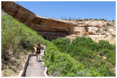 The approach to Step House