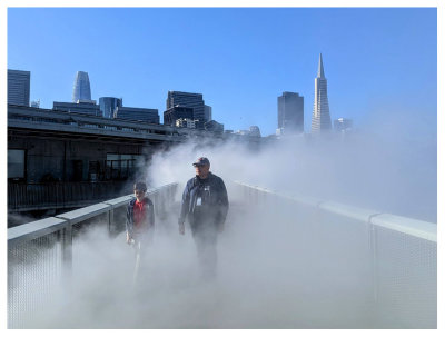 Fog Bridge