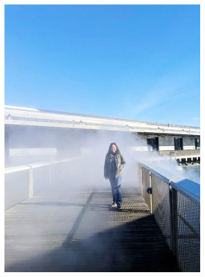 Fog Bridge