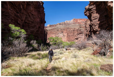 Sumi in Clear Creek Canyon