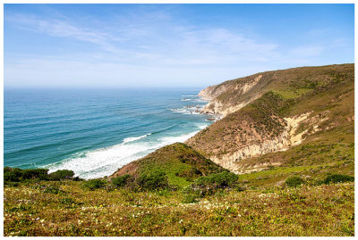 Tomales Point Trail