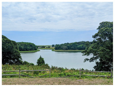 Salt Pond