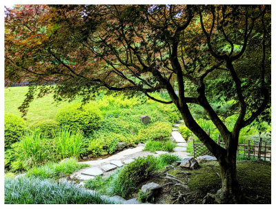 Shofuso Japanese House and Garden