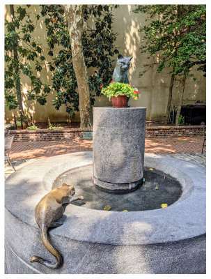 Cat statues outside the Betsy Ross house