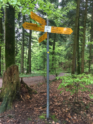 New running routes