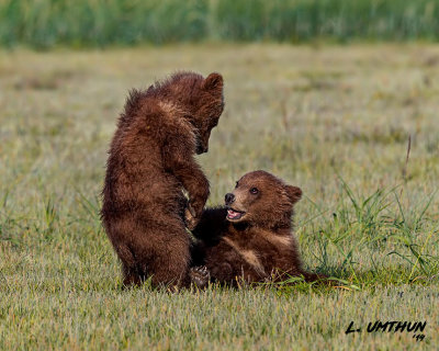 Katmai Alaska Trip