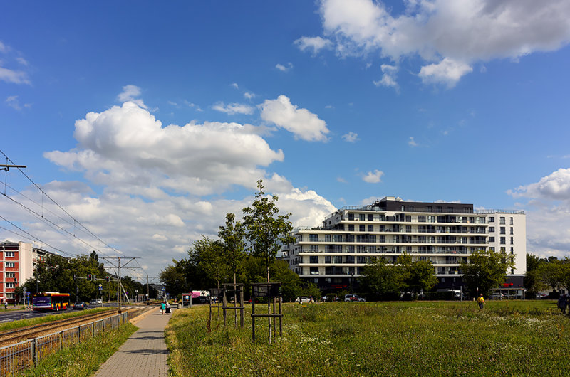 Another Sunny Day