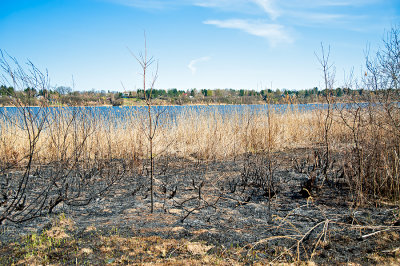 After The Fire