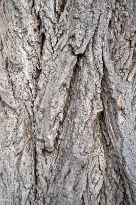 Textures