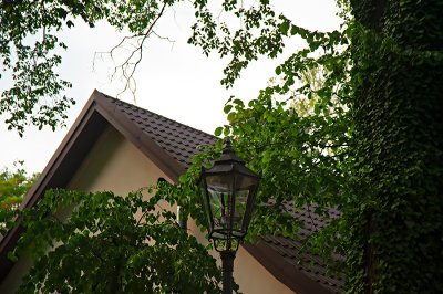 Lantern Among The Leaves