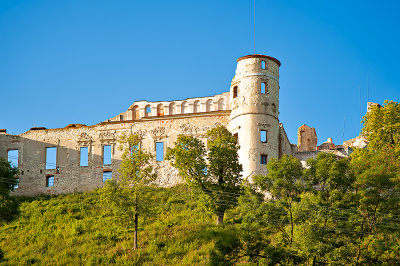 Castle In Janowiec