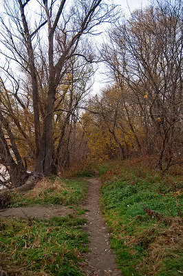 Path