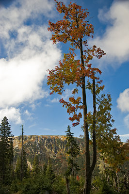 Karkonosze Mountains