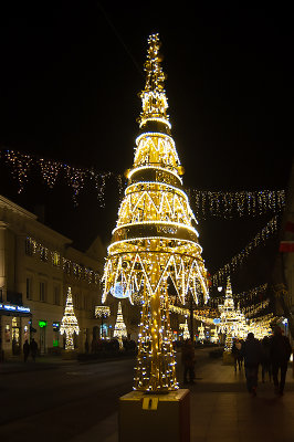 Tree Of Thousand Lights