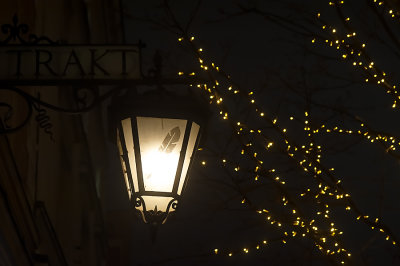 Lantern With Feather And Tiny Lights