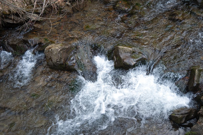 Liquid