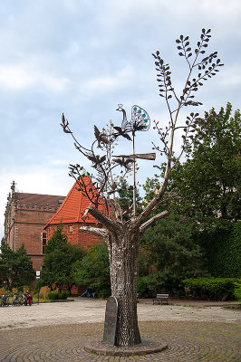 The Millenium Of Gdansk Tree