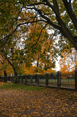 Autumnal Foliage