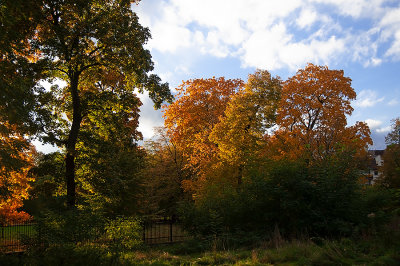 The Colors Of Autumn