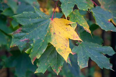 OCTOBER 2020 - SOMETHING IN OCTOBER