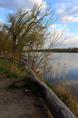 Spring Scene At The River