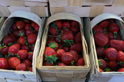 Season For Strawberries