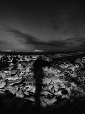 ShadowPlay