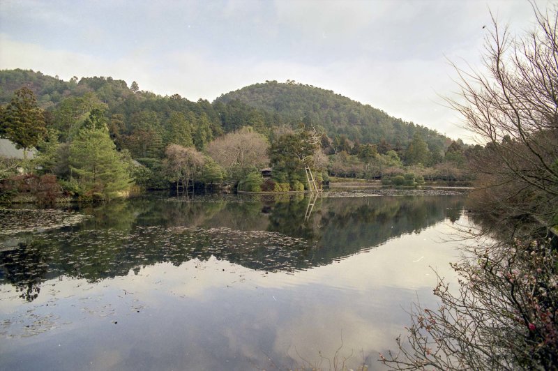 Ryōan-ji garden Reala 