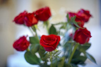 Roses @f1.2 5D