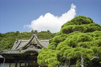 A temple(shuzen-ji) in Izu Reala
