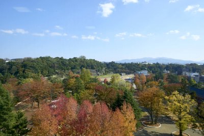 Kanazawa castle & fall colour @f8 26mm D800E